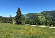 Grundstück in ruhiger Lage - Widmung Dorfgebiet