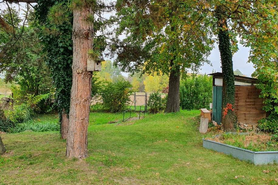 Preisreduktion!! - Grüne Oase mit Potential direkt am Stadtrand von Mistelbach, Haus-kauf, 190.000,€, 2130 Mistelbach