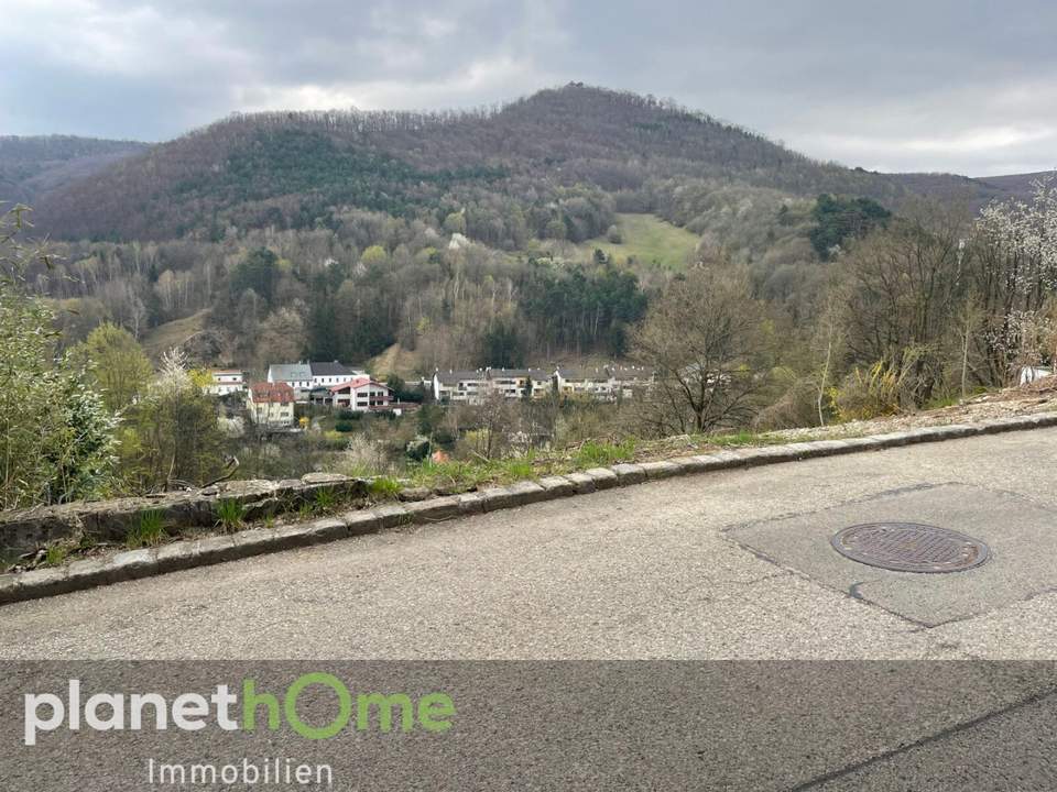 Grundstück in Hanglage in Kaltenleutgeben