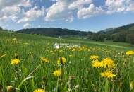 Renovierungsbedürftige Landhäuser viel Grund - Gesamtfläche 4032 m² !!! Renovierung und Schönheitsreparaturen sind erforderlich, dennoch sofort beziehbar.