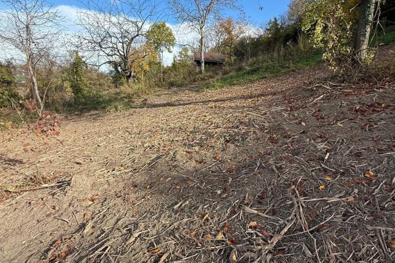 Bäume und Wiese mit Zufahrt und Parkmöglichkeit, Grund und Boden-kauf, 69.000,€, 3433 Tulln