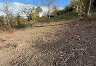 Bäume und Wiese mit Zufahrt und Parkmöglichkeit