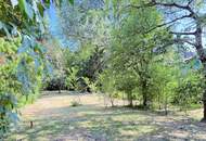 Seltene Gelegenheit: Traumhaft gelegenes Grundstück in Mauer | ZELLMANN IMMOBILIEN