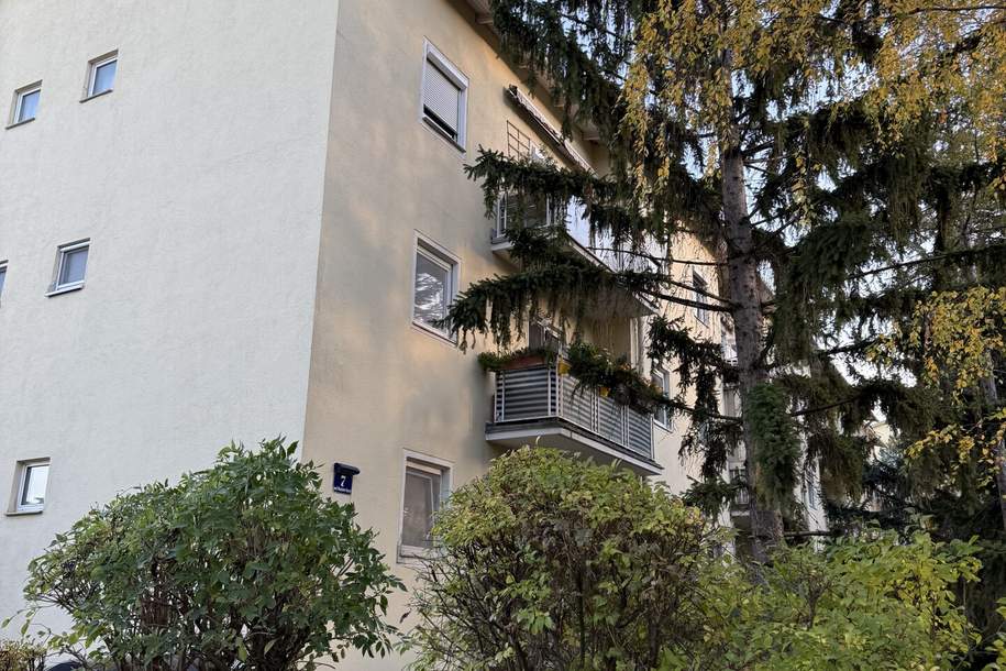 2 Zimmer &amp; Balkon, Wohnung-miete, 800,00,€, 2340 Mödling