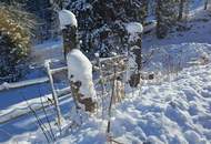 GOLDEN EAGLE - ein außergewöhnliches &amp; exklusives Rundholzchalet