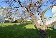 "großzügiges Baugrundstück direkt im Ortskern"