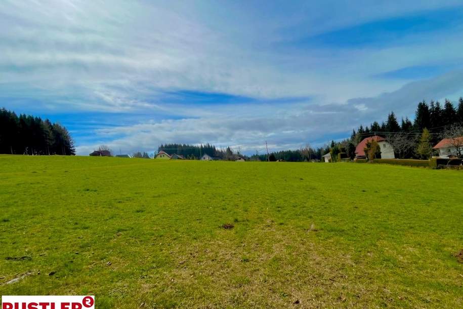 Baugrundstück im Ausmaß von 1.784 m² mit Almcharakter Naturparadies Lavanttal, Grund und Boden-kauf, 124.880,€, 9400 Wolfsberg