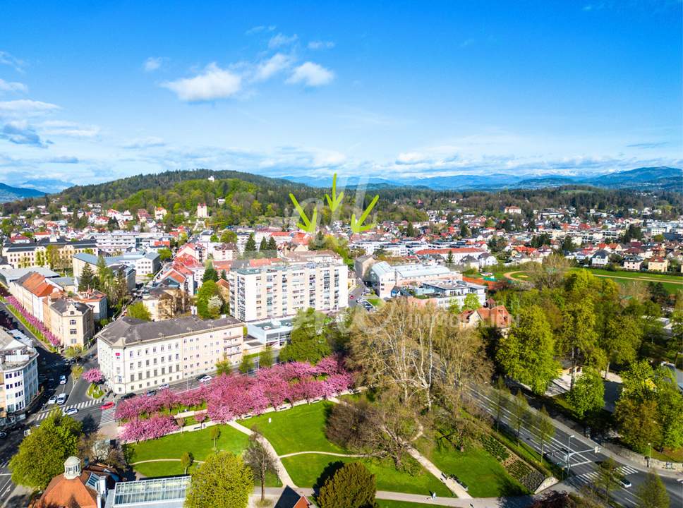 Altbauwohnung mit Garten - Wohnung / Büro - Kreuzbergl