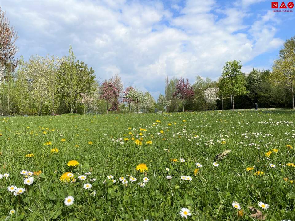 Quartier am Park: Barrierefreie Wohnung im obersten Stock mit Ausblick