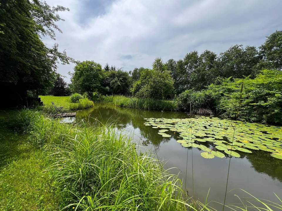 VORANKÜNDIGUNG: Grundstück mit enormen Ausmaßen innerorts in Persenbeug-Gottsdorf