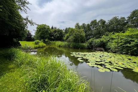 Ein Naturjuwel in Gottsdorf – Exklusives Grundstück mit Parkcharakter, Grund und Boden-kauf, 510.780,€, 3680 Melk