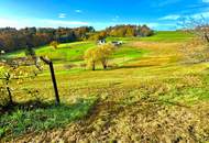 Wohnhaus mit Wirtschaftgebäude und landwirtschaftlicher Fläche in bester Lage