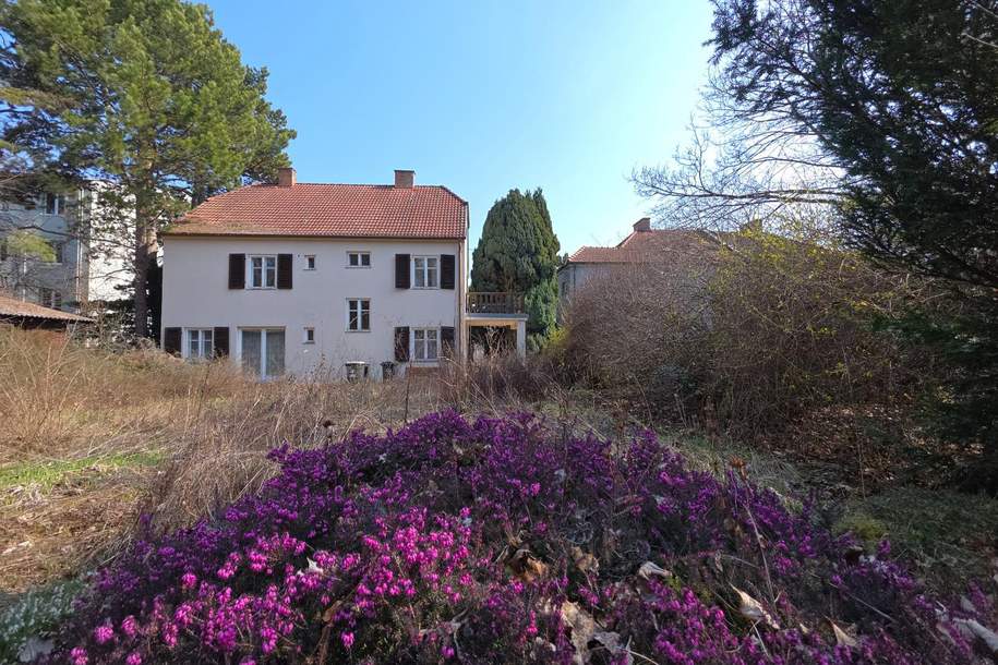 Eine Villa zum Träumen mit unendlichen Möglichkeiten, Haus-kauf, 380.000,€, 2130 Mistelbach