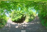 **Charmantes 4-Zimmer-Haus mit Pool, großem Grundstück & traumhafter Aussicht im SÜDBURGENLAND!**