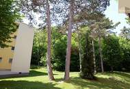 Sonnige Singlewohnung in ruhiger Lage im Helenental