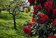 Eckreihenhaus sucht Bastler in ruhiger Siedlungslage!