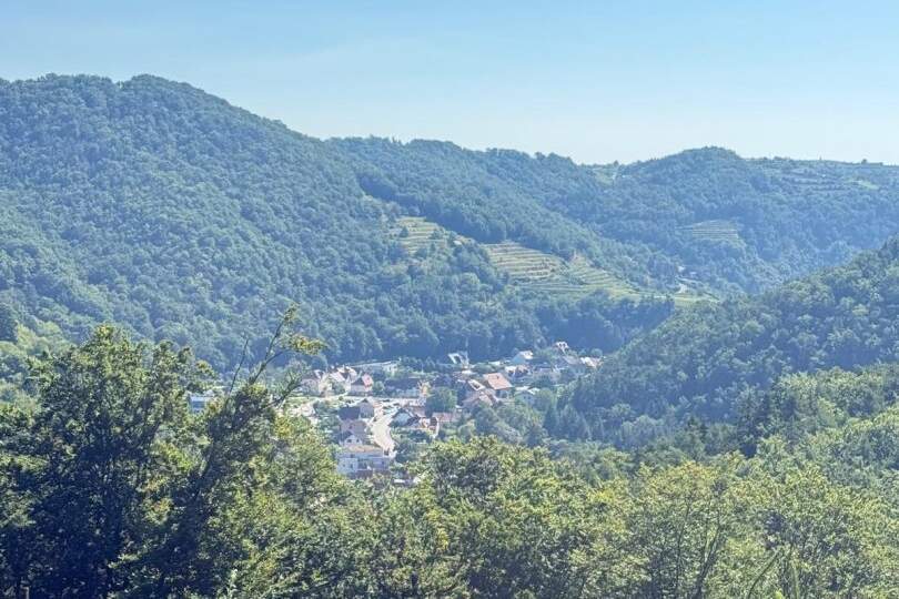 Mischwald mit Zufahrt und Aussicht, Grund und Boden-kauf, 26.430,€, 3541 Krems(Land)