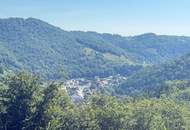 Mischwald mit Zufahrt und Aussicht
