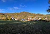 Großes an Bauland grenzendes Grünland-Grundstück bei Emmersdorf!