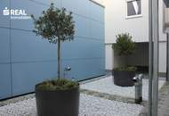 Tolle Eigentumswohnung im Zentrum vom Amstetten