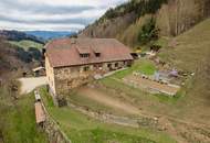 Paradies für Selbstversorger: Landwirtschaft mit Bauernhaus und eigener Quelle in absoluter Ruhelage