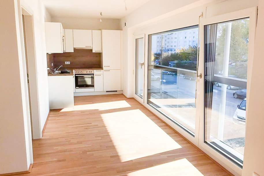 Sofort Mieteinnahmen | 4,13 % Bruttomietrendite | Neubau 2022 beim Badeteich, Wohnung-kauf, 196.000,€, 1220 Wien 22., Donaustadt