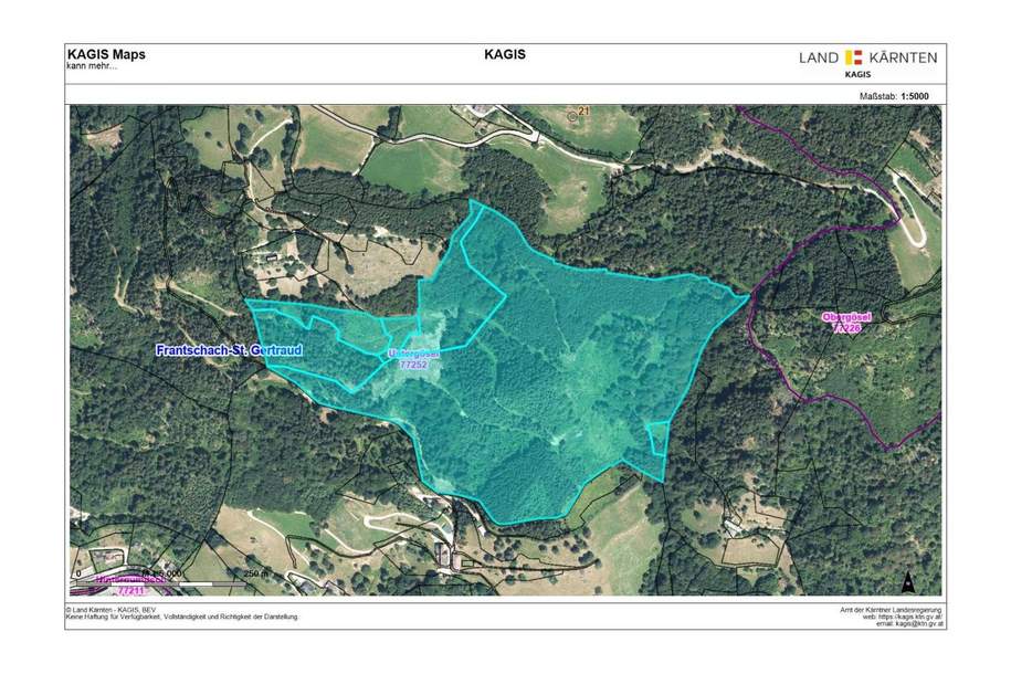 Zusammenhängende, ca. 17,3 ha große Waldfläche in Untergösel, Gewerbeobjekt-kauf, 299.000,€, 9413 Wolfsberg