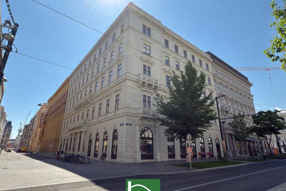 Exklusive, top sanierte Altbauwohnung in bester Lage – Rathausstraße, 1010 Wien, Wohnung-miete, 4.899,00,€, 1010 Wien 1., Innere Stadt