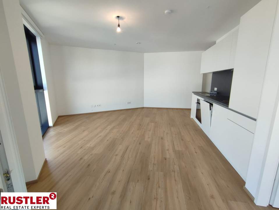 Über den Dächern von Linz, Neu, Modern, Zentral