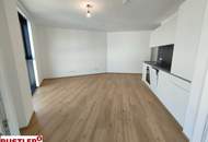 Über den Dächern von Linz, Neu, Modern, Zentral