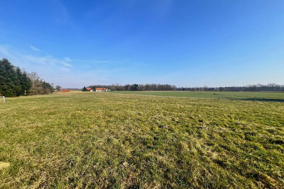 Leistbares, ebenes, sonniges Baugrundstück mit guter Anbindung!, Grund und Boden-kauf, 48.000,€, 8263 Hartberg-Fürstenfeld