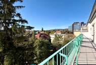 NEU ++ Charmante 2-Zimmer mit TERRASSE in Hoflage
