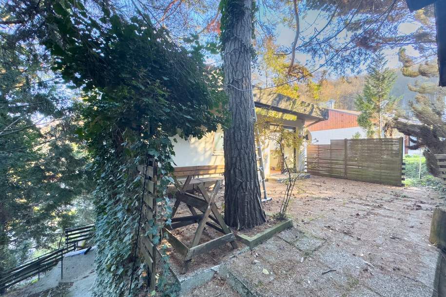 EINZIGARTIGE WALDRAND-RUHELAGE - renovierungsbedürftiges Einfamilienhaus, Haus-kauf, 365.000,€, 3400 Tulln