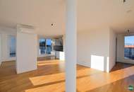 Exklusive Dachgeschoß-Maisonette mit Dachterrassen & Pool am Dach