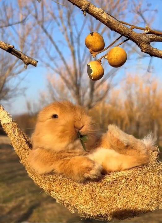 Ostern am Wörthersee: Kurzzeitmiete April 2026