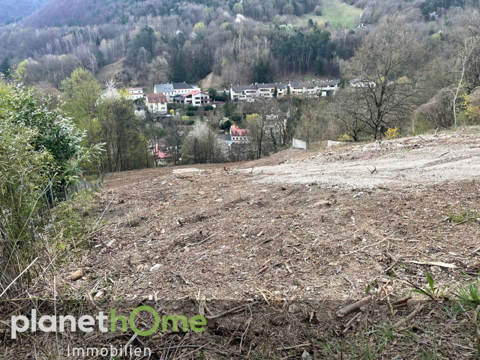 Grundstück in Hanglage in Kaltenleutgeben