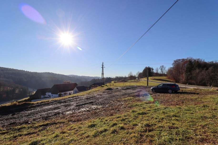 Landwirtschaft mit bewilligtem Bauplan, Grund und Boden-kauf, 350.000,€, 8082 Südoststeiermark