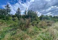 Kleinsitzendorf: Baugrund voller Möglichkeiten – Traumplatz, Traumidee, Traum wird wahr!