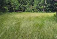 Landwirtschaftliche Fläche mit Waldgrundstück und Gebäude