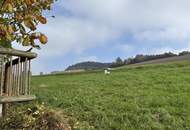 Troadkasten von 1766 sucht neue Liebhaber