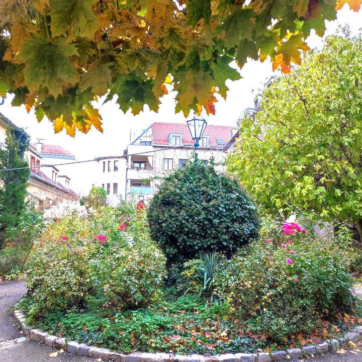 Topsaniert - Geschäftslokal/Praxis/Büro/Atelier mit Freifläche