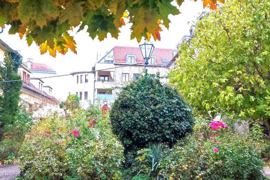 Topsaniert - Geschäftslokal/Praxis/Büro/Atelier mit Freifläche, Gewerbeobjekt-kauf, 250.000,€, 2500 Baden