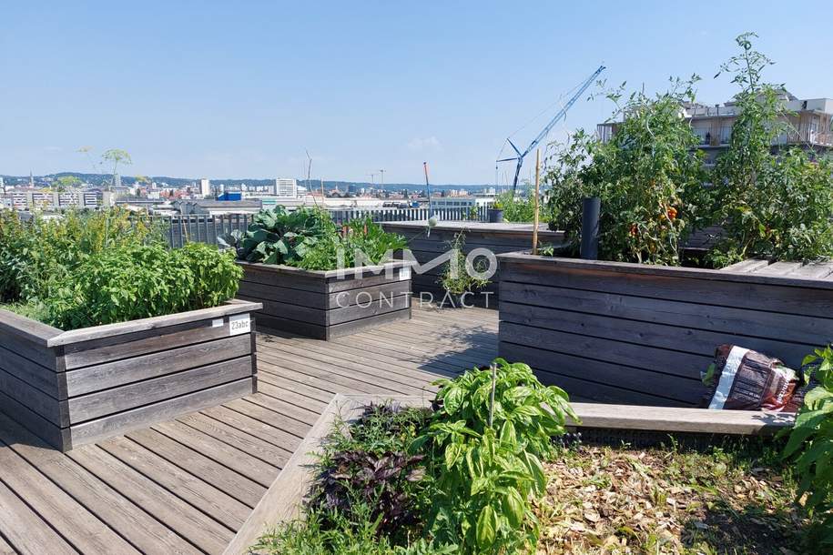 1. MONAT MIETFREI: SCHÖNE 2-ZIMMERWOHNUNG MIT TOP AUSSTATTUNG+ BALKON + TG, Wohnung-miete, 749,00,€, 8020 Graz(Stadt)