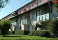 Terrassenwohnung: Südseitige 3 Raumwhg. mit Küche