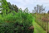 3 Zimmer, Loggia, großer Garten, Garage