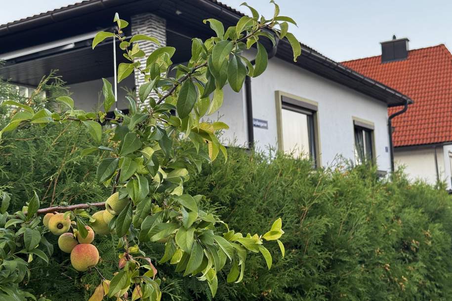 Charmanter Bungalow mit Keller, Garten und Nebenobjekten, Haus-kauf, 295.000,€, 2630 Neunkirchen