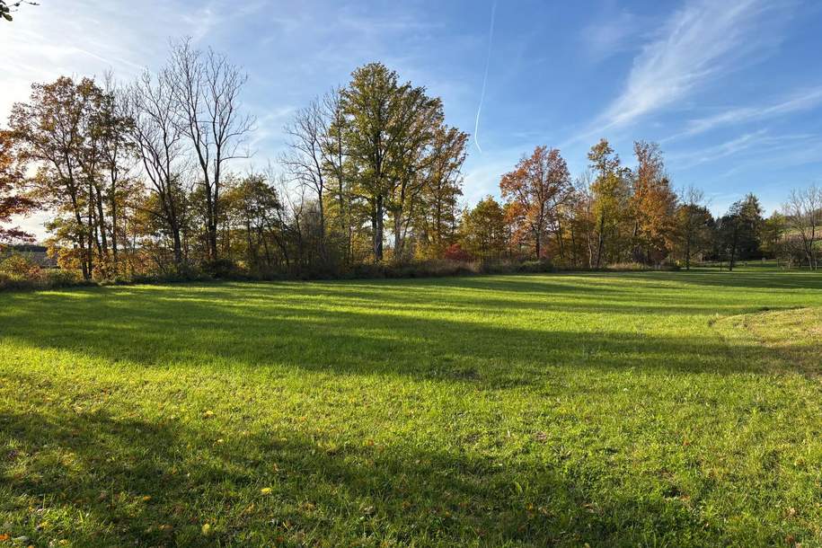 Großzügiges Grundstück mit Stallgebäude in Kalling – ideal zur Pferdehaltung, Grund und Boden-kauf, 148.000,€, 4776 Schärding