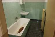 2014 Puch - Bauernhof für Wohnen und Gewerbe - 30 min von Wien !