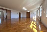 Palaiswohnung mit Donaublick