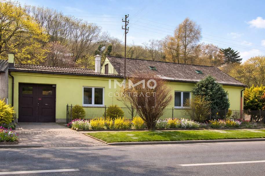 Kaufnebenkosten bis zum 30.06. sparen! Renoviertes Haus mit Gartenruhe, Dachterrasse &amp; Ausbaupotenzial, Haus-kauf, 330.000,€, 2412 Bruck an der Leitha